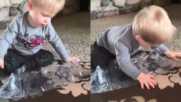 Koter heeft zo zijn eigen manier gevonden om noppenfolie te pletten