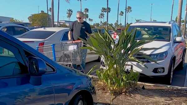 De Cart Narcs zijn terug en doen waar ze het allerbeste in zijn