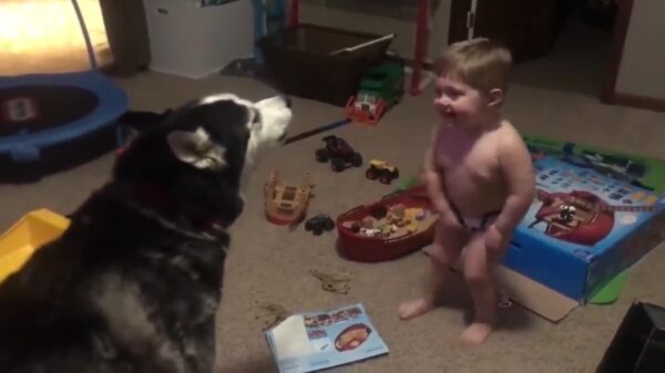 Koter heeft een goed gesprek met zijn trouwe viervoeter