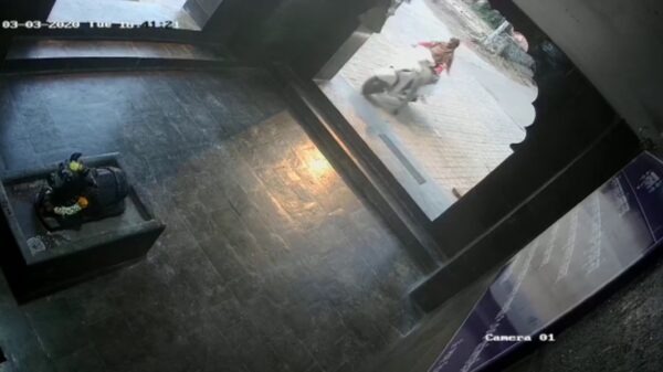 Speltip #14: haal eerst je rijbewijs voordat je op een scooter stapt