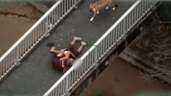 Vluchtende autodief gevloerd door eindbaas die zijn hond aan het uitlaten was