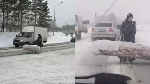 Russische dame veroorzaakt file omdat ze een gevulde grafkist aan het slepen is