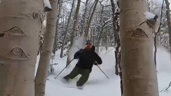 Skiër eet in volle vaart een geparkeerde boom