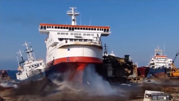 10 minuten aan bizarre beelden in een vermakelijke compilatie