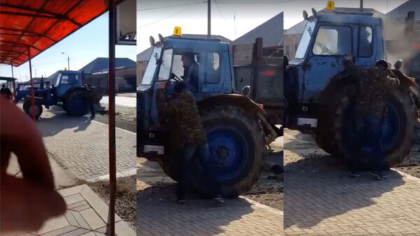 Boer Harmsem wordt getrakteerd op een gratis nitraatje