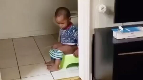 De eerste keer op het potje is altijd even wennen