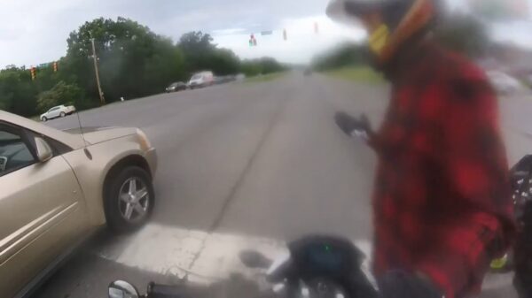 Agressieve motormuis doet raampje van auto tikken