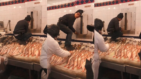 In deze winkel zijn ze op de visafdeling niet zo van de hygiëne