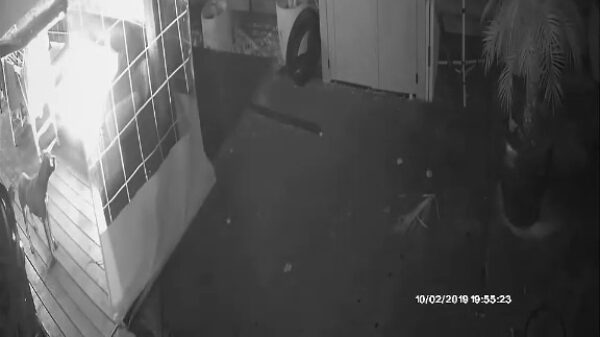 Hond speelt met aansteker en veroorzaakt enorme brand