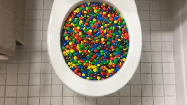 Iets dat iedereen zich na een avondje zwaar tafelen weleens afvraagt: will it flush?!