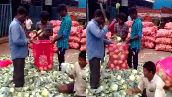 Even kennismaken met 's werelds enige echte Fruit Ninja