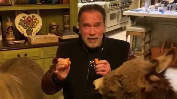 Ook Arnold Schwarzenegger adviseert om lekker thuis te blijven
