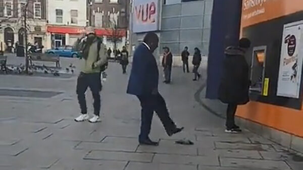 Heler in opleiding gebruikt zijn deskundigheid om een duif te genezen