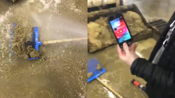 Van extreme blijdschap naar heftige depressie in een paar seconden