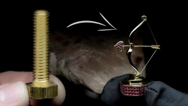 Deze klusheld is behoorlijk creatief met bout