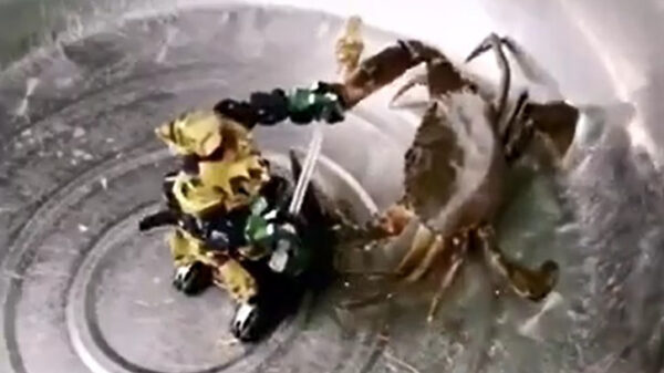 Geen sport op tv in tijden van het coronavirus: dag 9