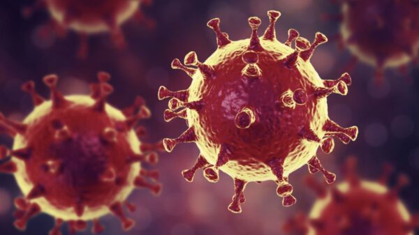 Corona-update #5: 15 nieuwe doden, 346 besmettingen en criminelen sturen phishingmail uit naam RIVM