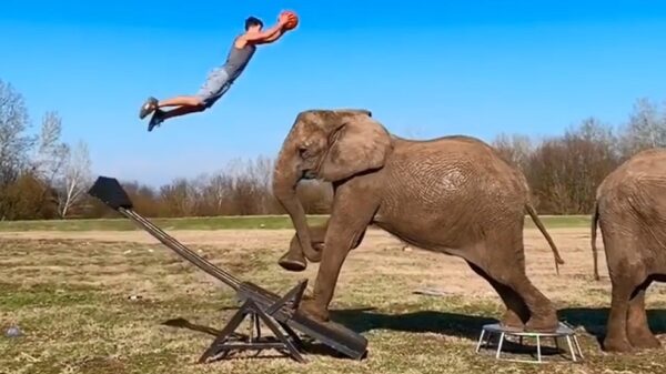 Potje basketballen met zijn homies