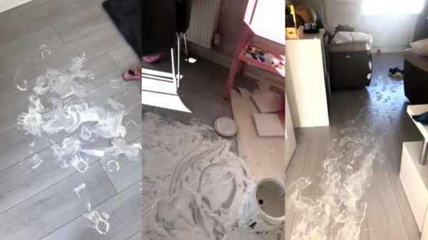 Leuk hè, de hele dag je koters thuis?!