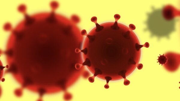 Corona-update #9: 43 patiënten overleden en 573 nieuwe besmettingen, Italië op slot