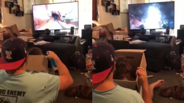 Tijdens quarantaine moet je creatief zijn om je koters te vermaken