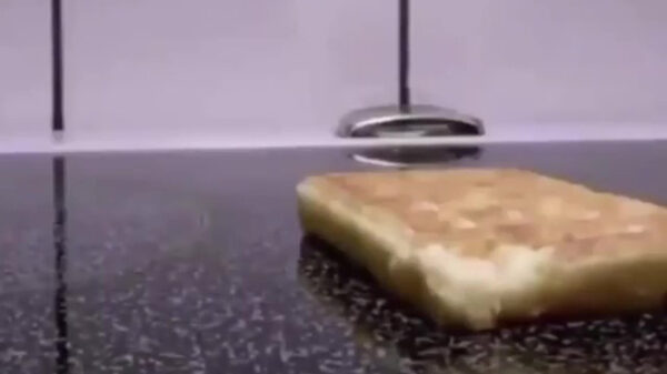 Gewoon een stukje Van Halen voor de liefhebber