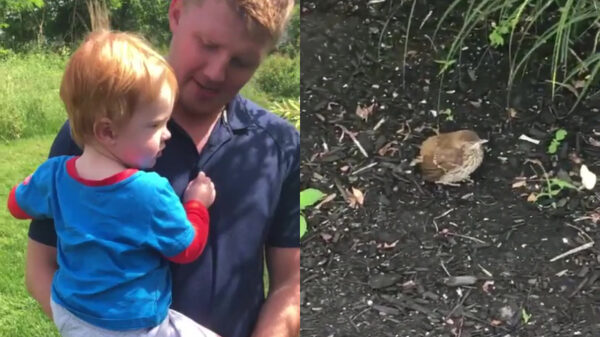 Even je koter wat bijbrengen over de natuur