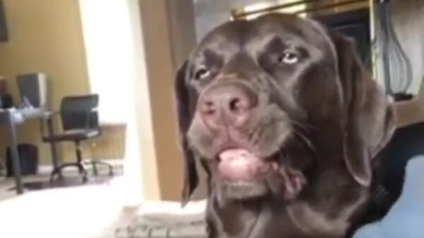 Oooooooh ja, precies daar