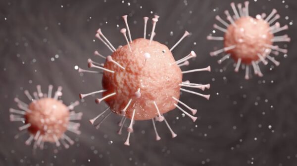 Corona-update #12: 80 patiënten overleden en 852 nieuwe besmettingen, verspreiding stabiliseert mogelijk