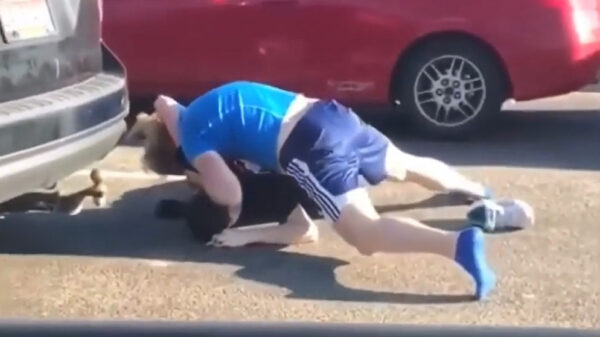 Vechtersbaasjes weten verkeersruzie als echte gentlemen af te sluiten