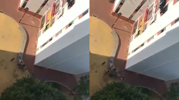 Geen afstand houden? Vuilniszak met water op je hoofd