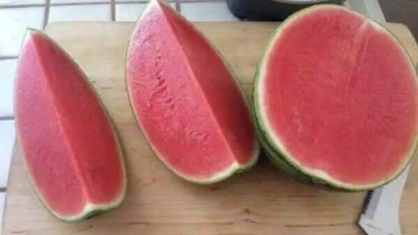 27 keer perfect voedsel waar je komende tijd hard op kunt oefenen