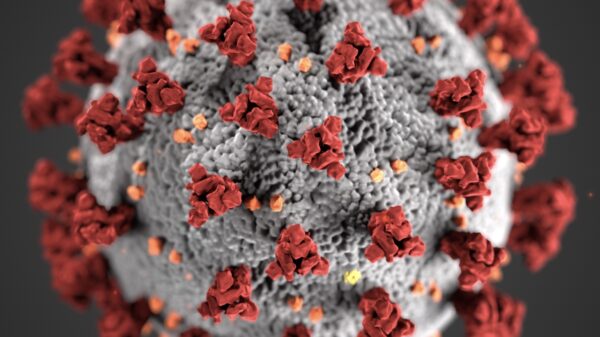 Corona-update #15: 93 patiënten overleden en 1159 nieuwe besmettingen, coronafeest verboden