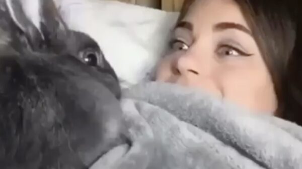 Wakker worden met je favoriete huisdier