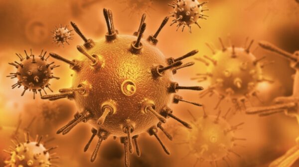 Corona-update #19: 134 patiënten overleden en 1019 nieuwe besmettingen, besmettingsgraad lijkt te dalen