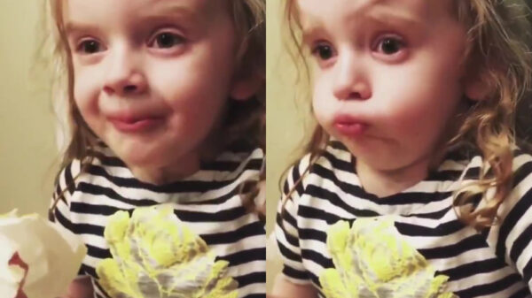 Nee hoor mama, je kunt echt ontzettend lekker koken!