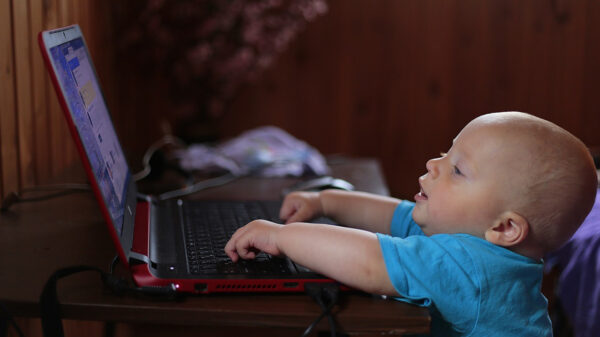 De Corona Lockdown dag 17: 10 manieren om je koter bezig te houden