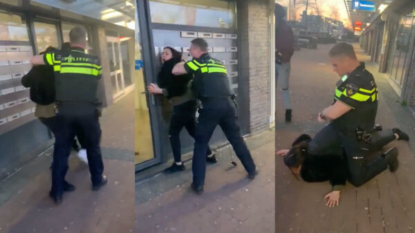 Vrouw gepeppersprayed en in de boeien geslagen nadat ze een agent beledigt