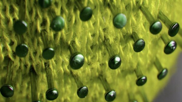 Corona-update #21: 148 patiënten overleden en 1026 nieuwe besmettingen, bouwcrisis door corona