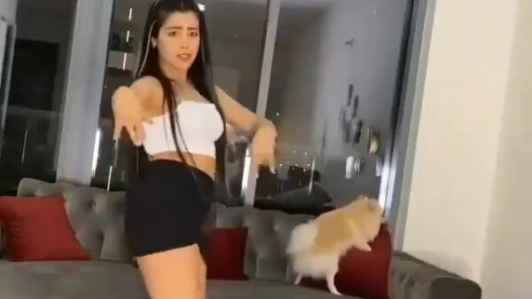 Als je hond gezellig met je meedanst