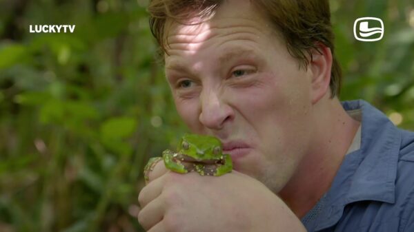 De Corona Lockdown dag 20: de 20 meest epische tv-framenten everooit