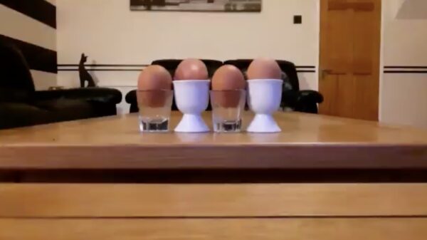 De quarantaineperiode maakt van mensen creatieve alleskunners