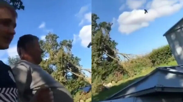 Boze vader bewijst dat vloeken in het Brits gewoon heerlijk is