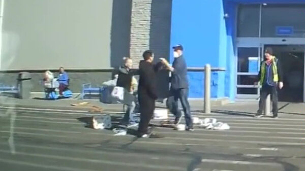 Deze hamstergekkies houden een 'battle of the pleepapier'