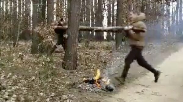 Wedden dat wij deze rotte boomstam in 1x doormidden breken!