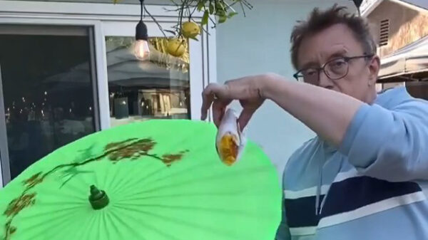 Quarantaine dag 26: tuinartiest doet een trucje met een hamburger