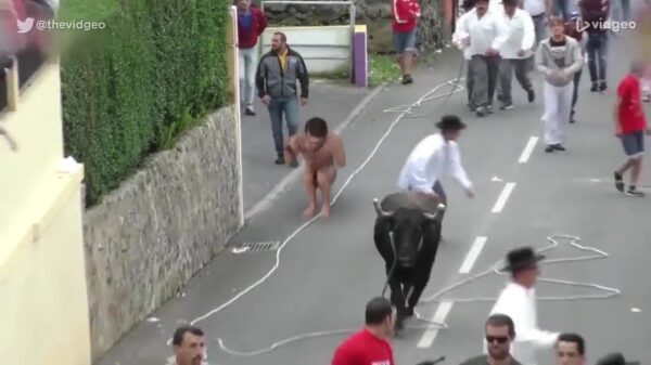 Videotrollen met MMA-vechters blijkt verdomde vermakelijk te zijn