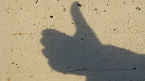 Zo, die is goed met schaduwfiguren