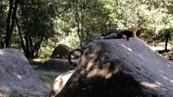 BMX'er geeft de ramp een onvrijwillig kusje