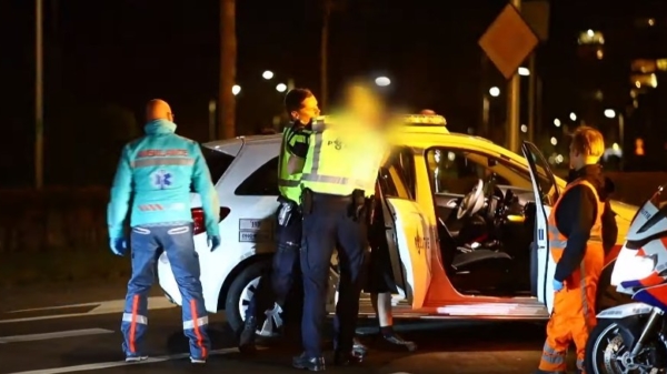 Dronken automobilist bespuugt en vecht met politieagenten in Zwolle